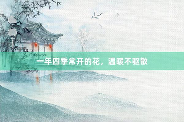 一年四季常开的花，温暖不驱散