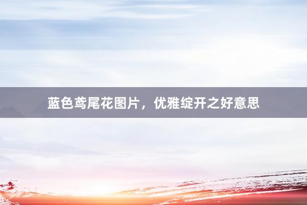 蓝色鸢尾花图片，优雅绽开之好意思